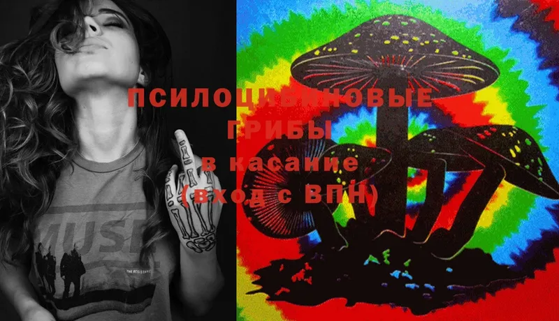 площадка клад  KRAKEN онион  Гаврилов-Ям  Псилоцибиновые грибы MAGIC MUSHROOMS 